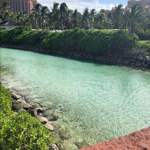 Meet your Posher, Jodi hebert